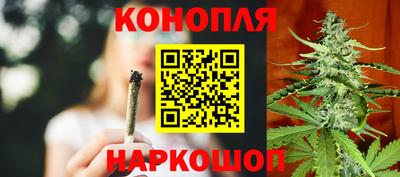 spice Кунгур