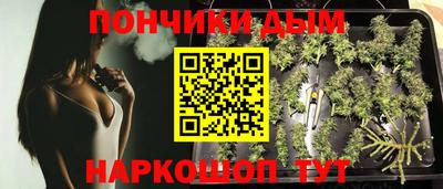 spice Кунгур