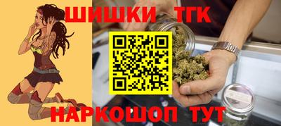 spice Кунгур